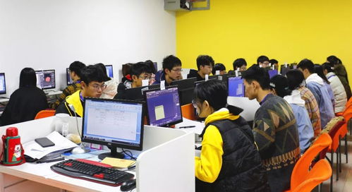 喜报 | 我校在“巴渝工匠杯”2019年重庆市互联网信息技术职业技能竞赛中荣获佳绩